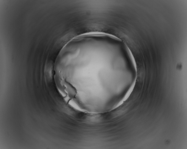 X0000101100334200807171918