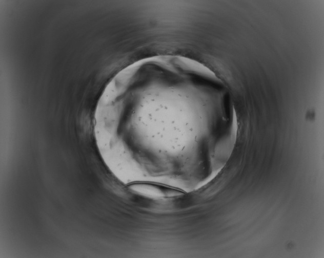 X0000101100335200807171918