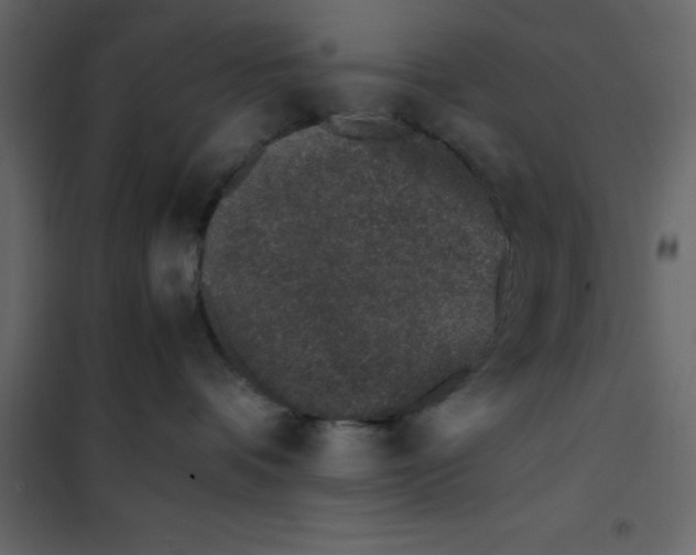 X0000101100336200807171918