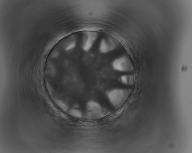 X0000101100337200807171917