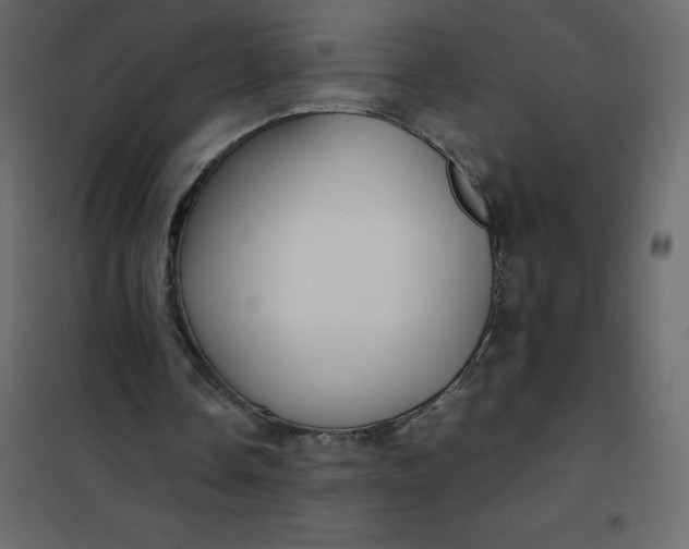 X0000101100338200807171917