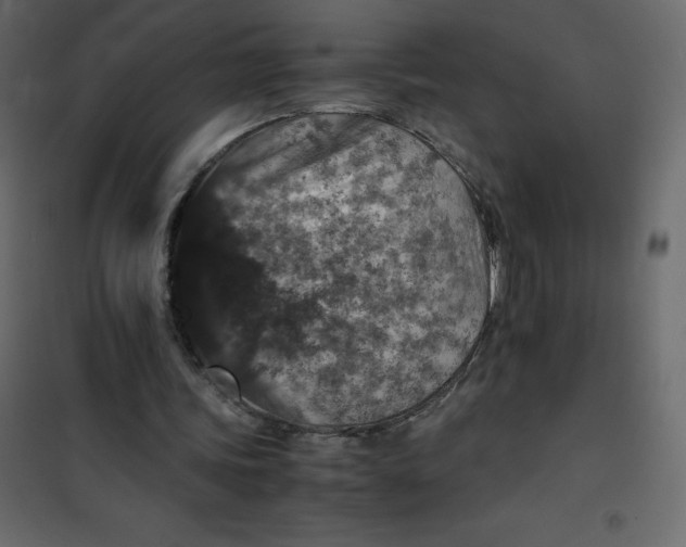 X0000101100339200807171917