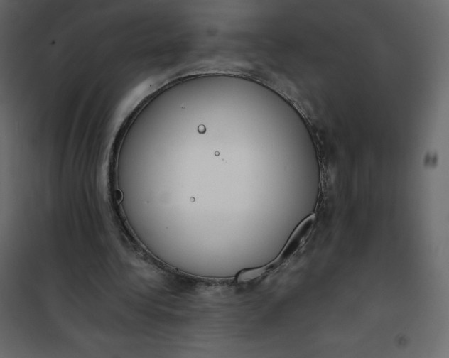 X0000101100340200807171917