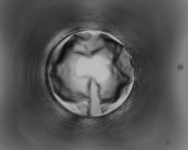 X0000101100341200807171917