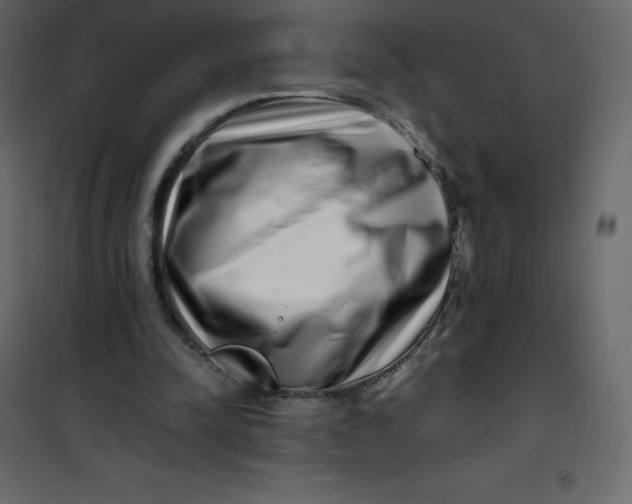 X0000101100342200807171917