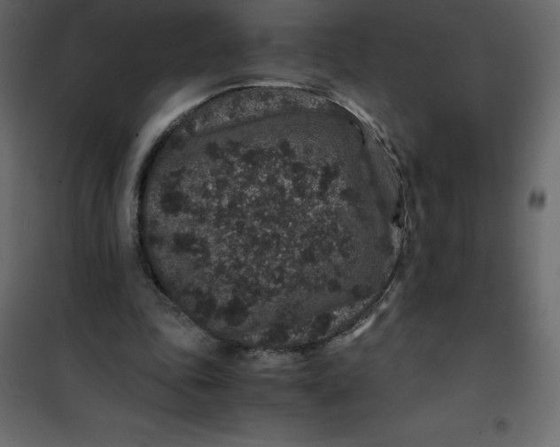 X0000101100343200807171917