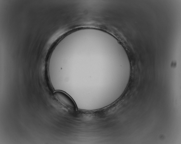 X0000101100344200807171917