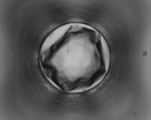 X0000101100345200807171917