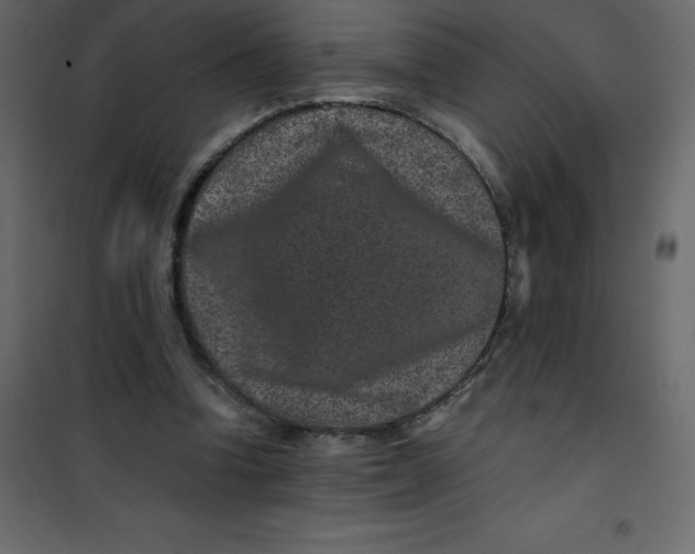 X0000101100346200807171917