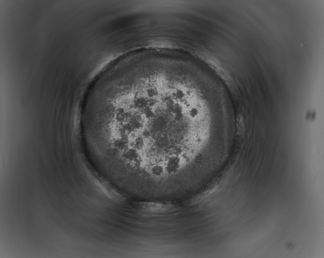 X0000101100347200807171917