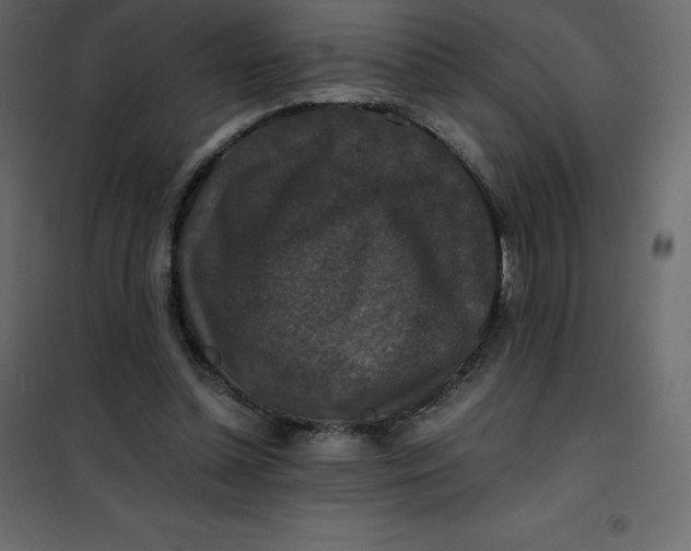 X0000101100348200807171917