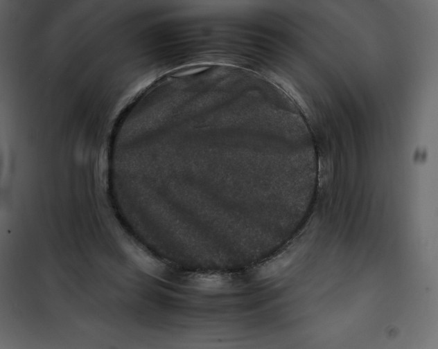 X0000101100349200807171917