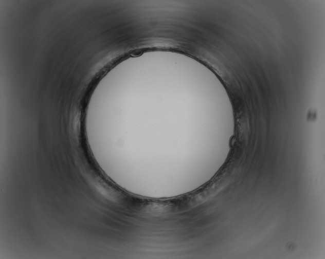 X0000101100350200807171917