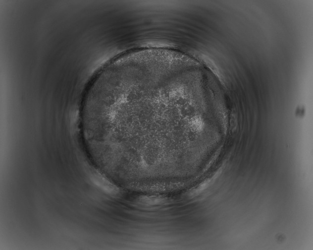 X0000101100351200807171917