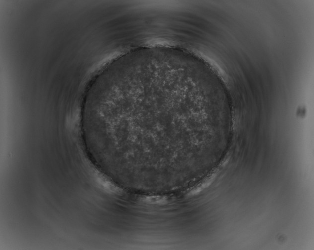 X0000101100353200807171917