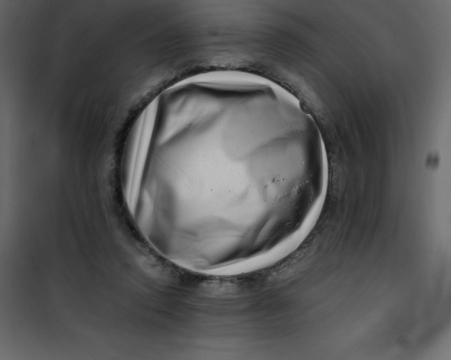 X0000101100354200807171917