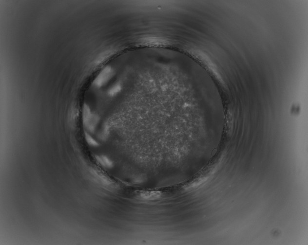 X0000101100355200807171917