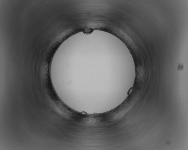 X0000101100356200807171917