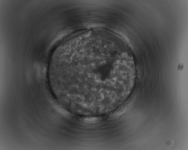 X0000101100357200807171917