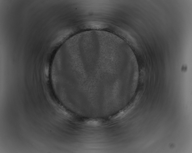 X0000101100358200807171918