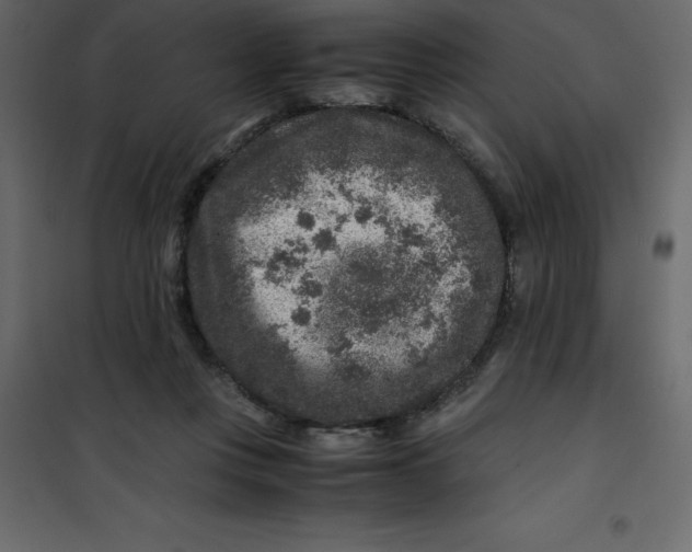 X0000101100359200807171918