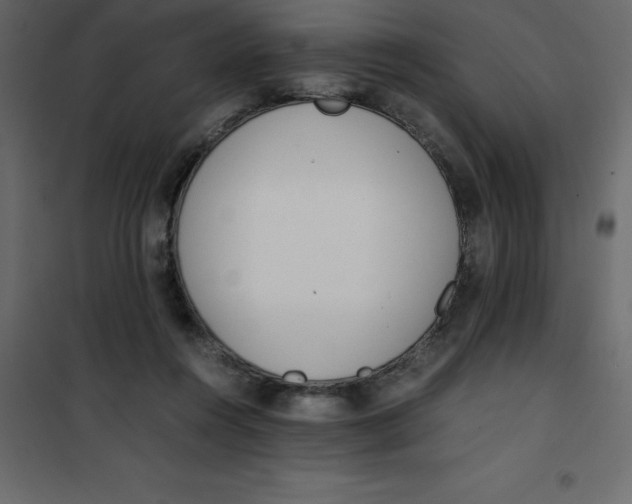 X0000101100360200807171918