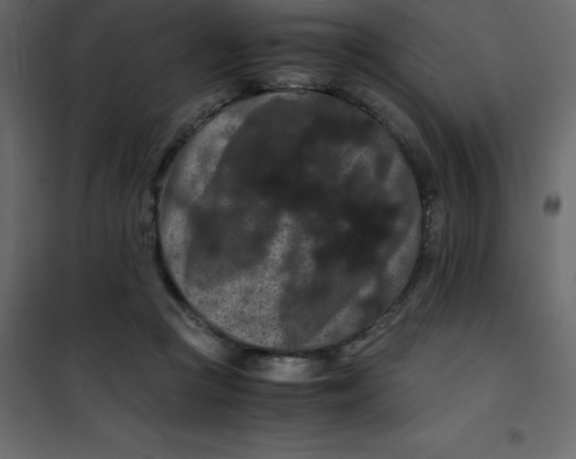 X0000101100361200807171918