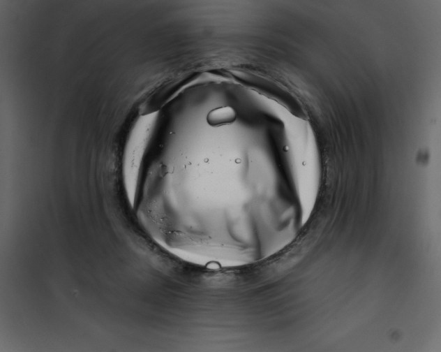 X0000101100362200807171918