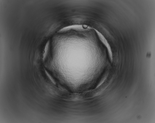 X0000101100363200807171918