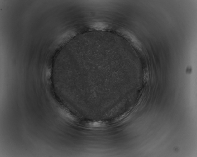 X0000101100365200807171918