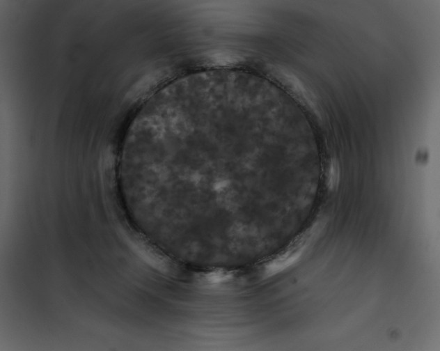 X0000101100366200807171918