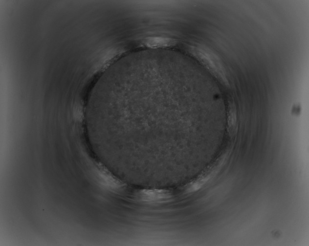 X0000101100367200807171918