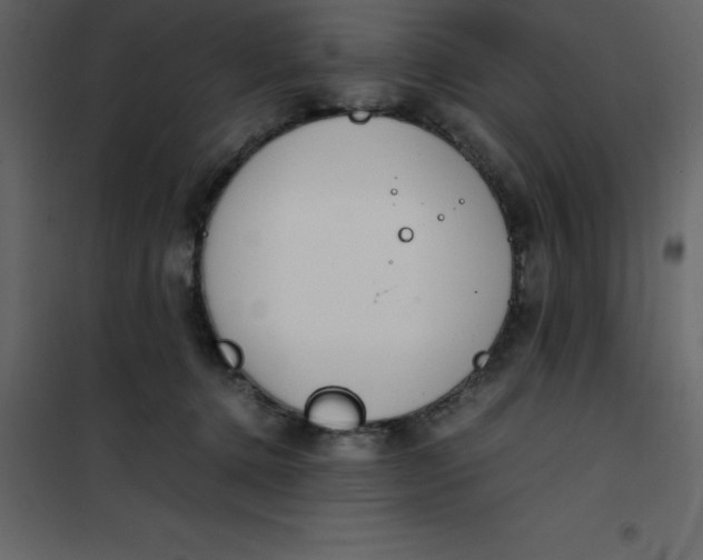 X0000101100368200807171918