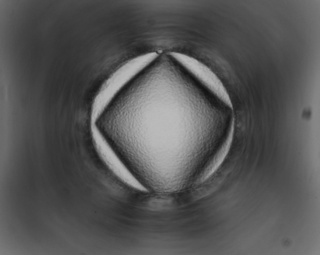 X0000101100369200807171918