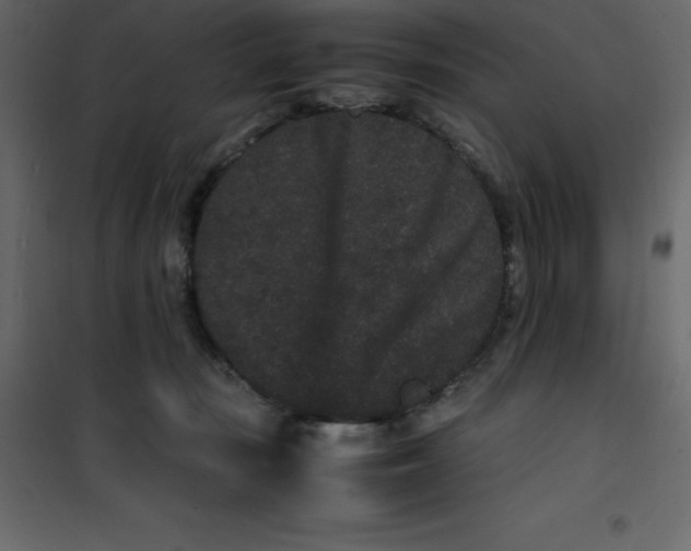 X0000101100371200807171918