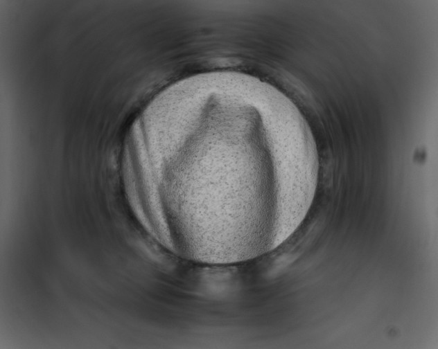 X0000101100373200807171918