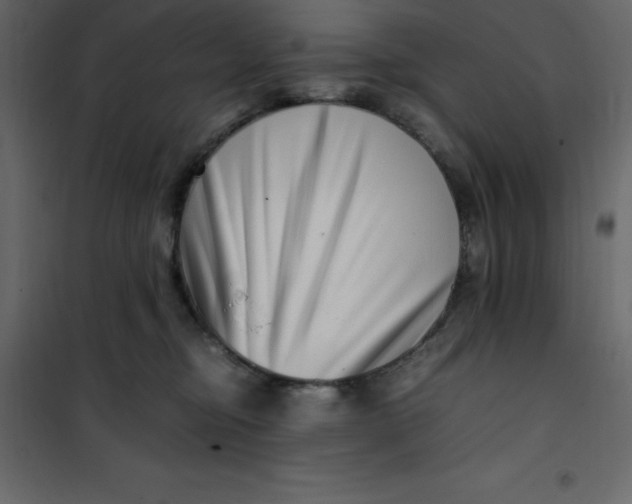 X0000101100374200807171918