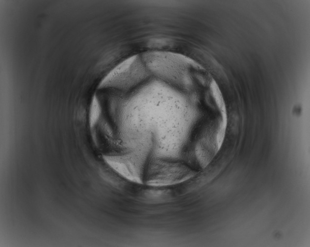 X0000101100375200807171918