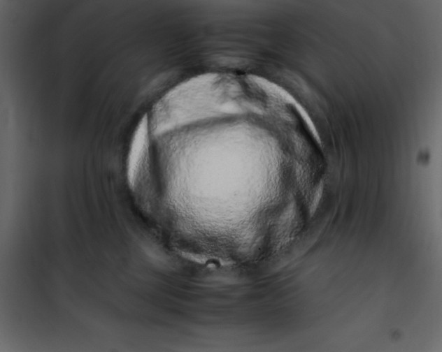 X0000101100377200807171918