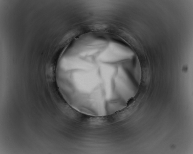 X0000101100378200807171918