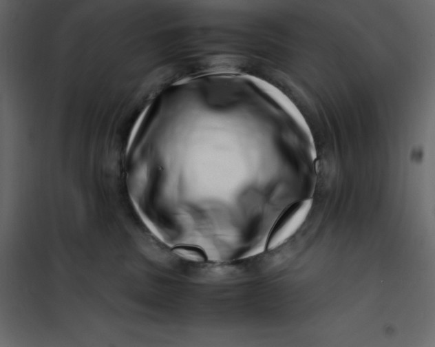 X0000101100379200807171918