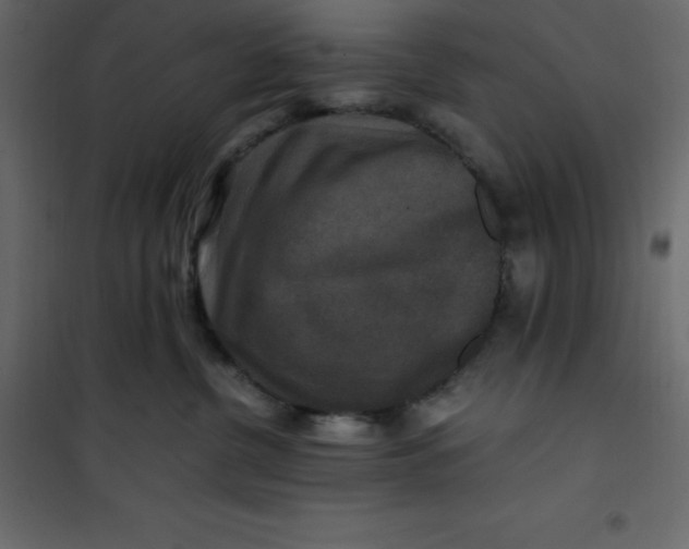 X0000101100380200807171918