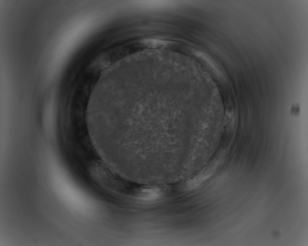 X0000101100381200807171918