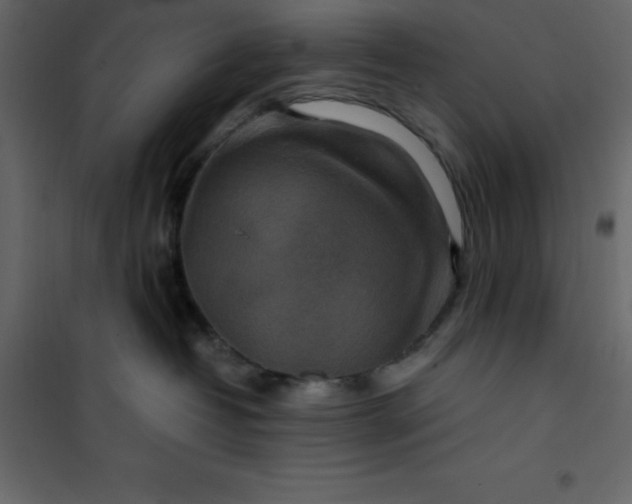 X0000101100382200807171918