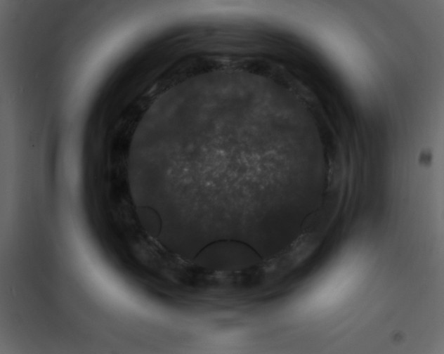 X0000101100383200807171918