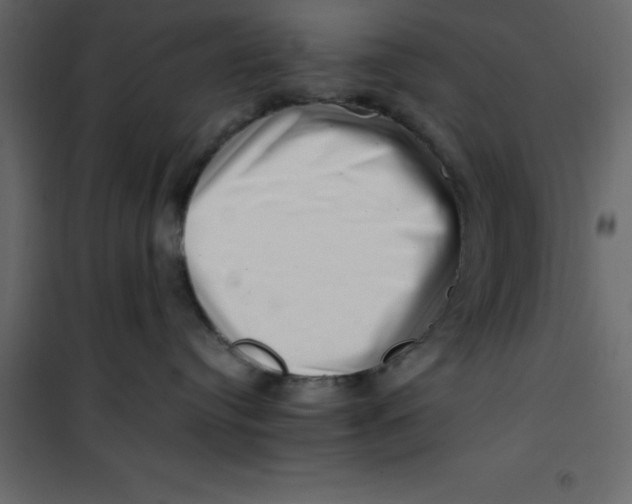 X0000101100384200807171918