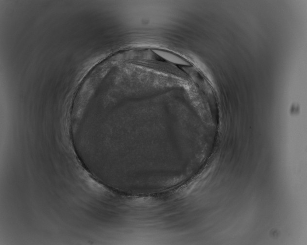 X0000101100385200807171917