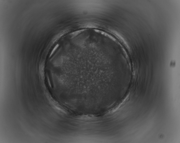 X0000101100386200807171917