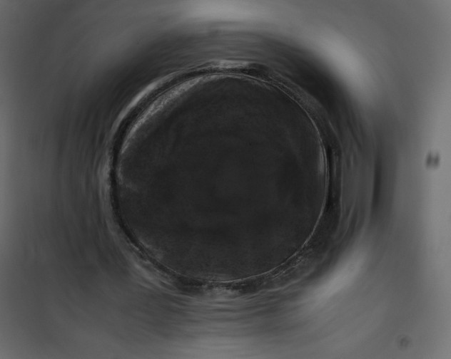 X0000101100387200807171917