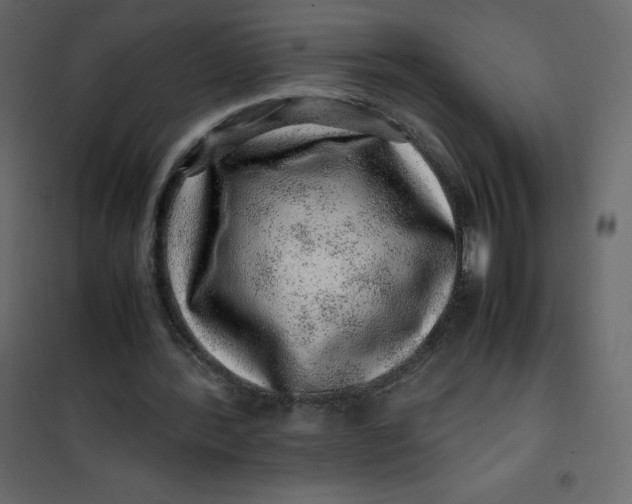 X0000101100388200807171917